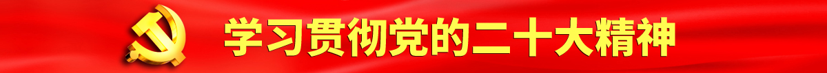 看日笔视频怎么搜认真学习贯彻落实党的二十大会议精神